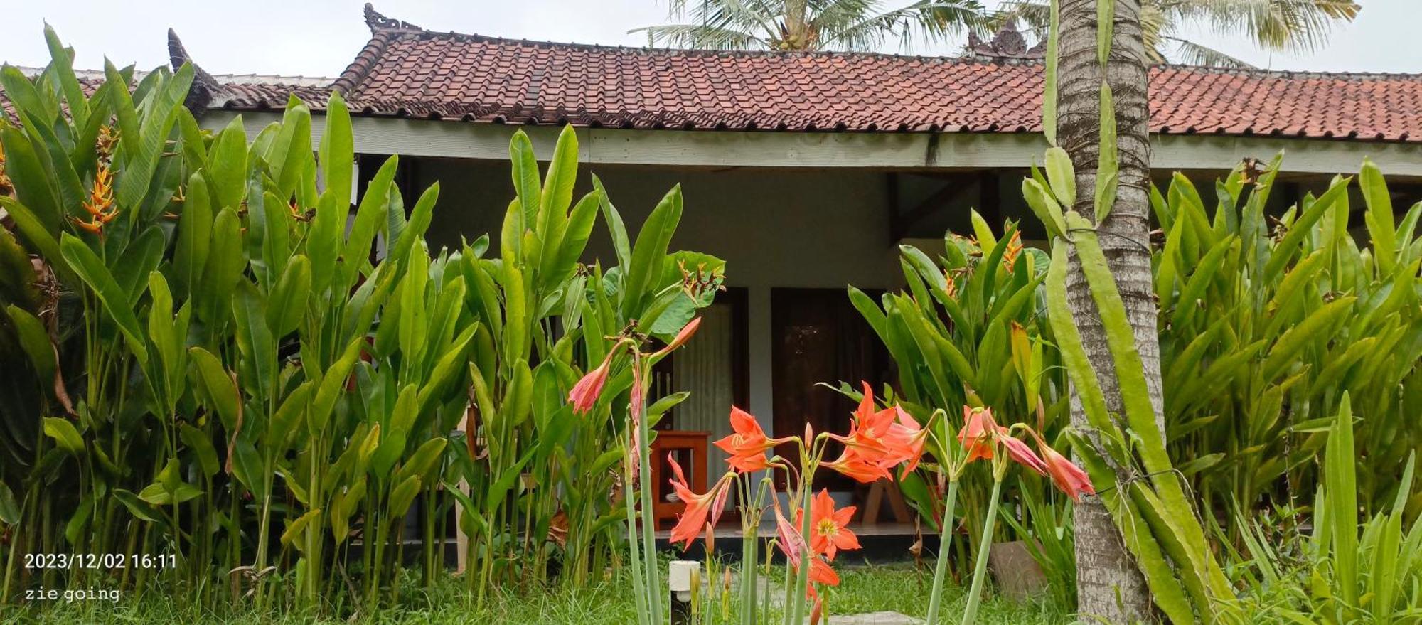 Mengalung Bungalow Kuta  Eksteriør billede